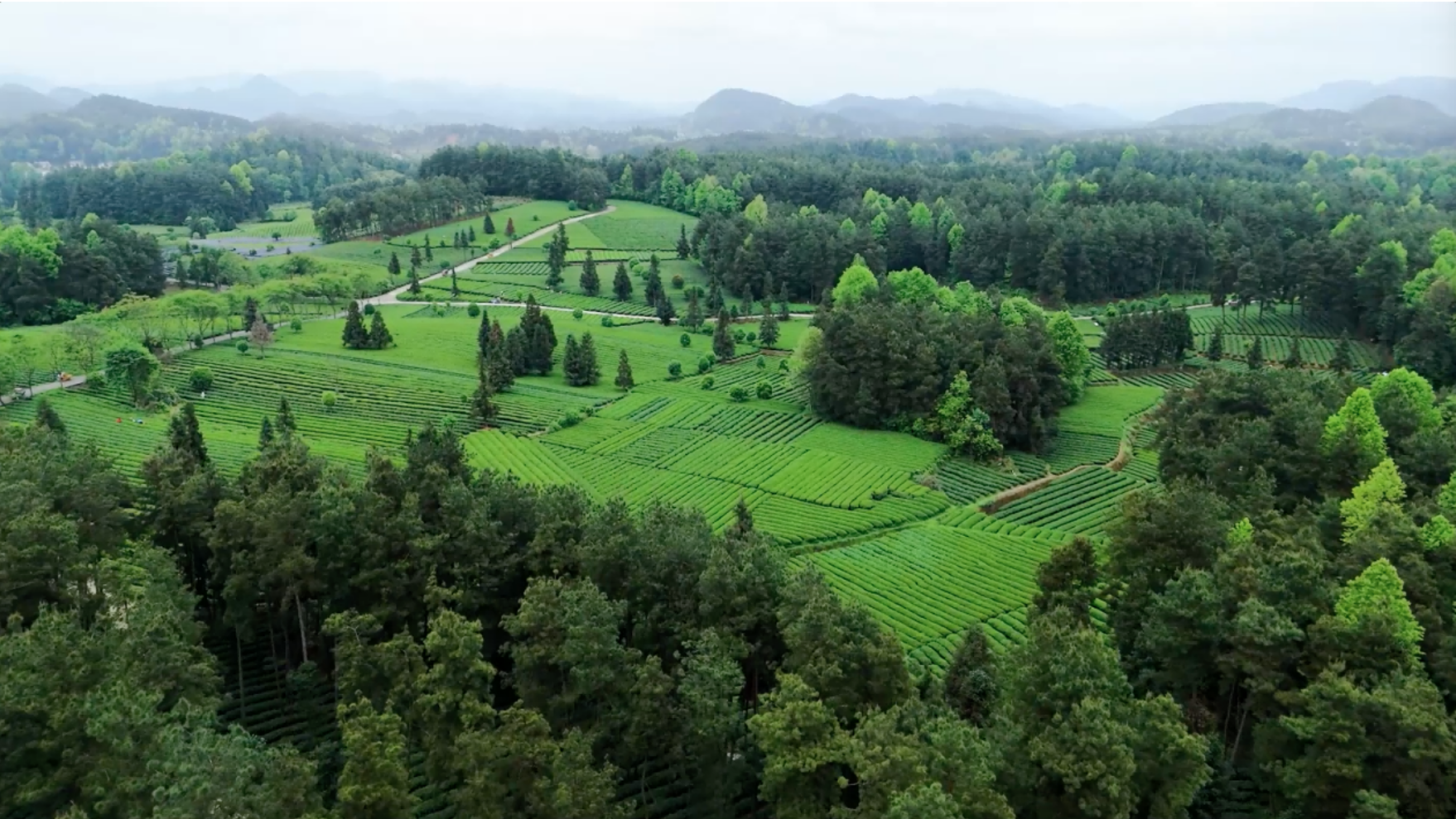 1770719469187386.png image.png